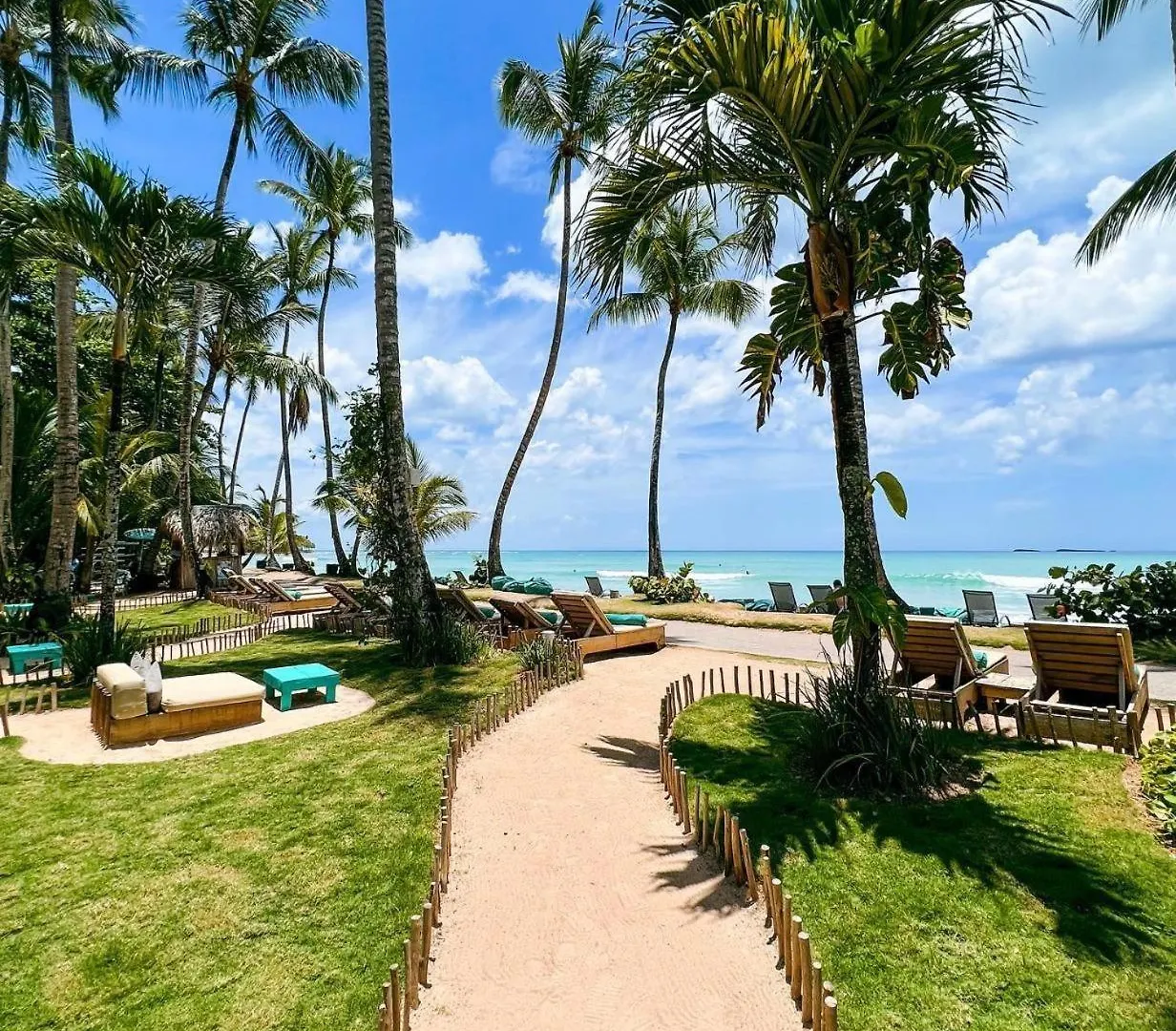 New! Serene Beach Haven In Las Terrenas Dominican Republic